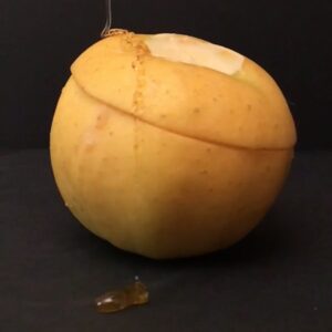 Pomme gourmande à la crème de spéculoos