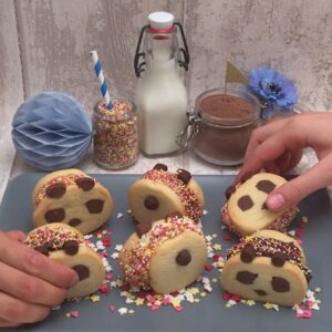 Le panda glacé