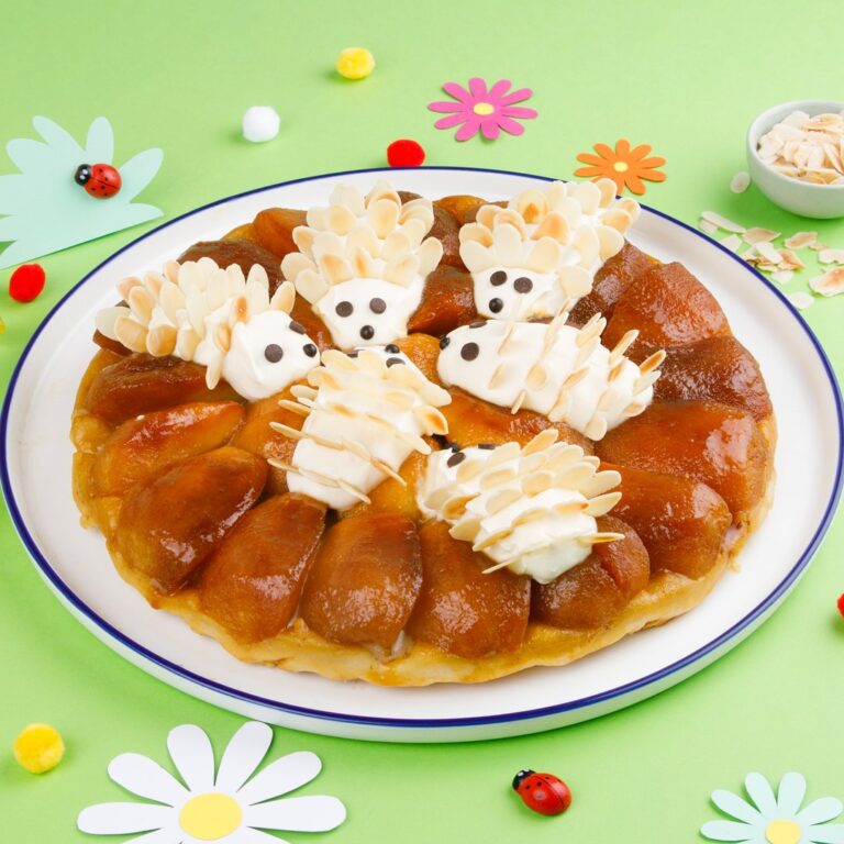 Torta porcospino al cioccolato