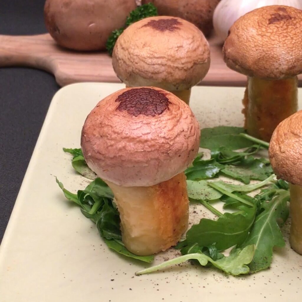 Pilz-Bissen