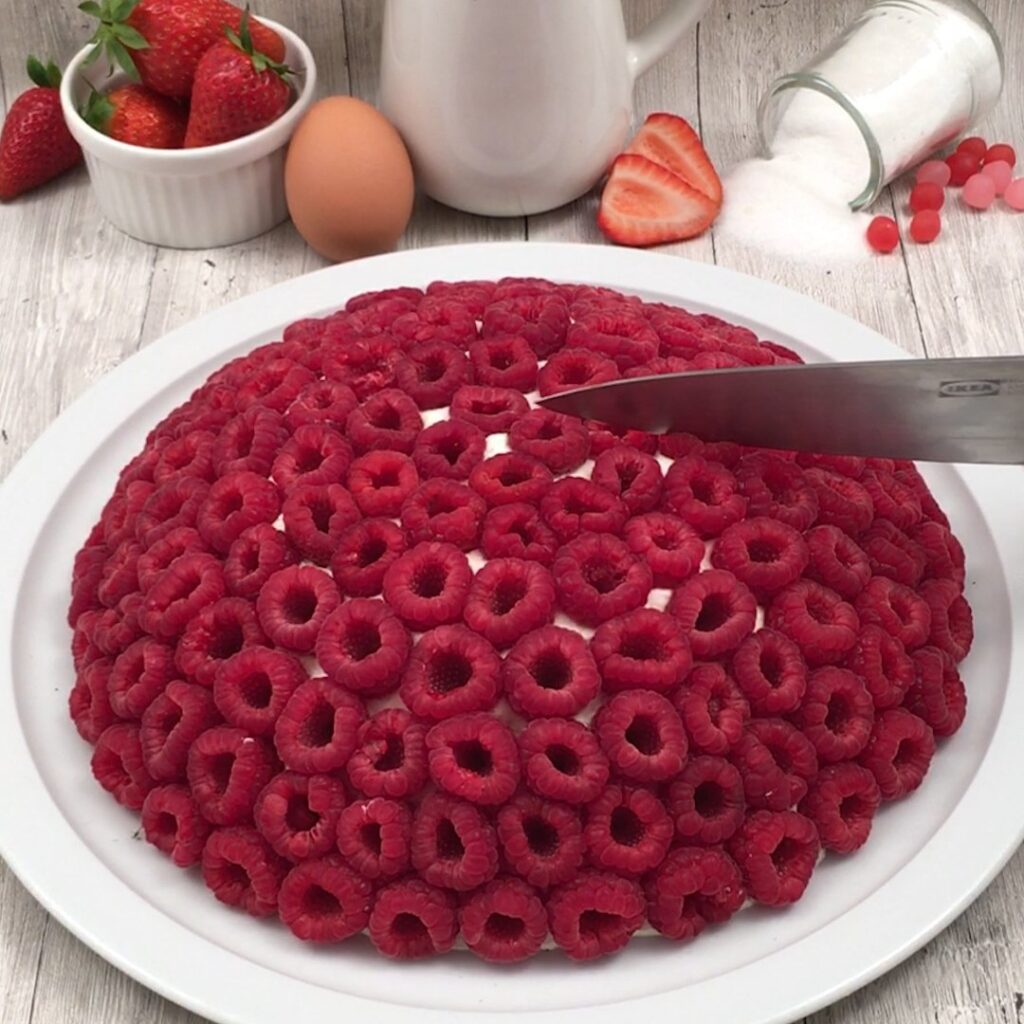 Dôme chocolat framboises