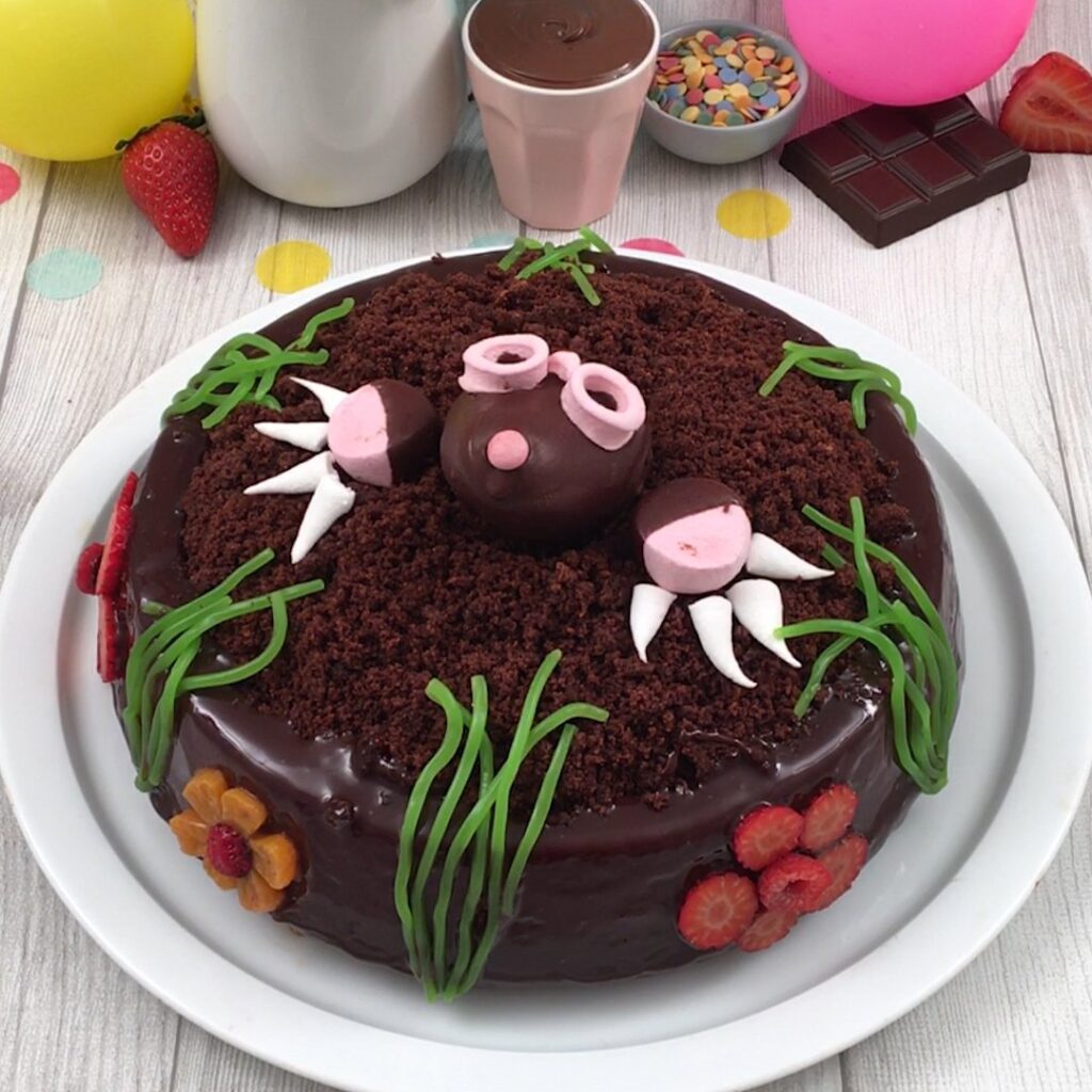 Le gâteau chocolat myope…
