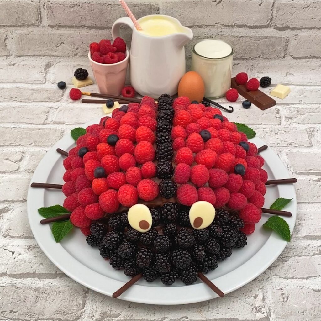 Lucky Ladybird