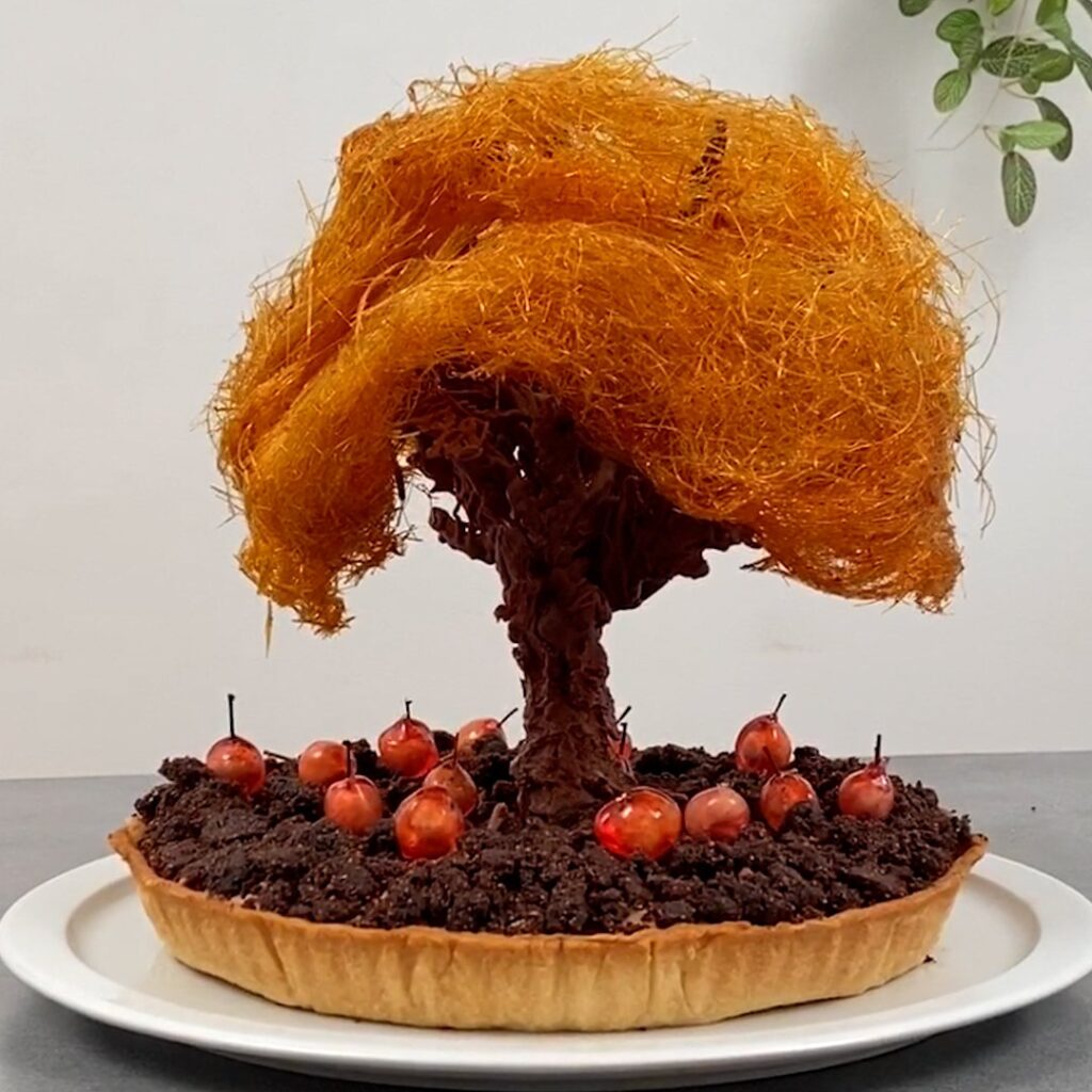 La tarte arbre chocolat