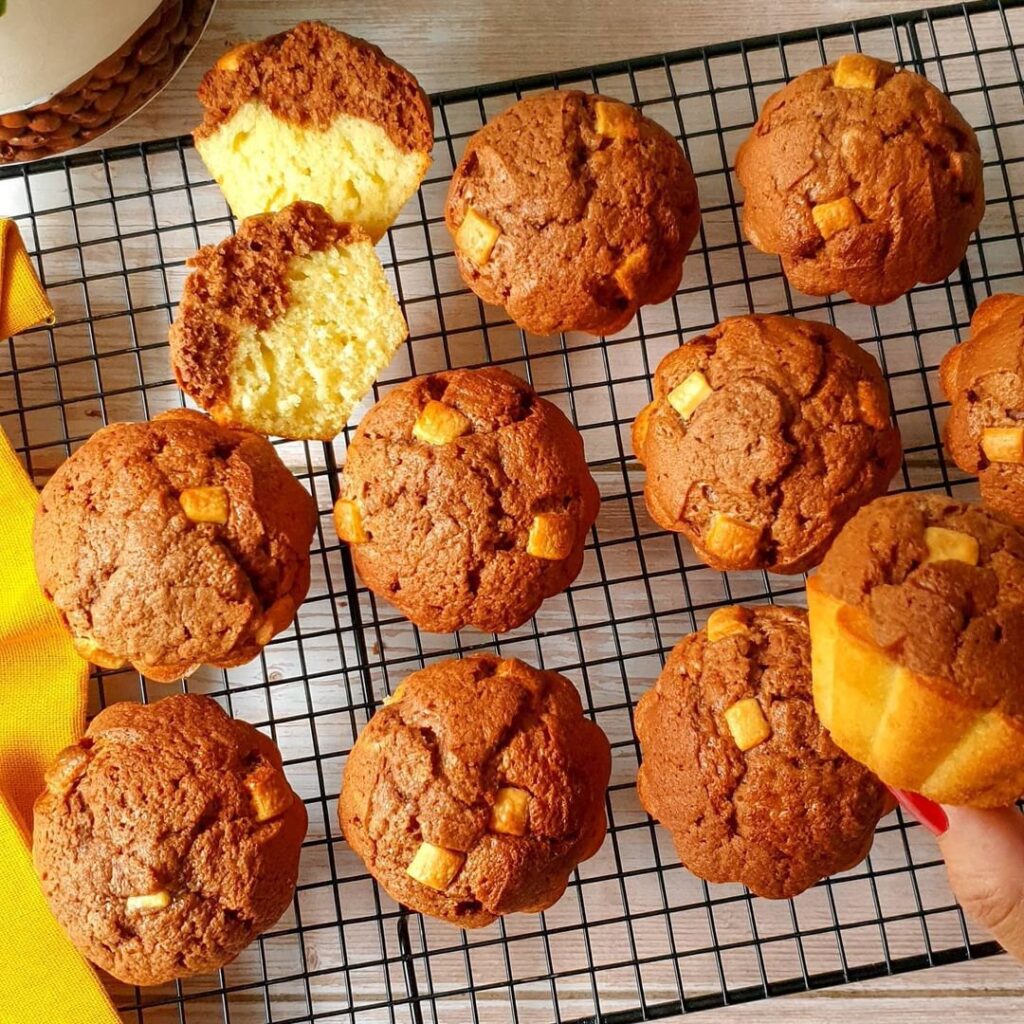 Gâteaux bi-goût yaourt et chocolat