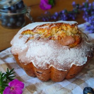 Tourte des pyrénées à la myrtille