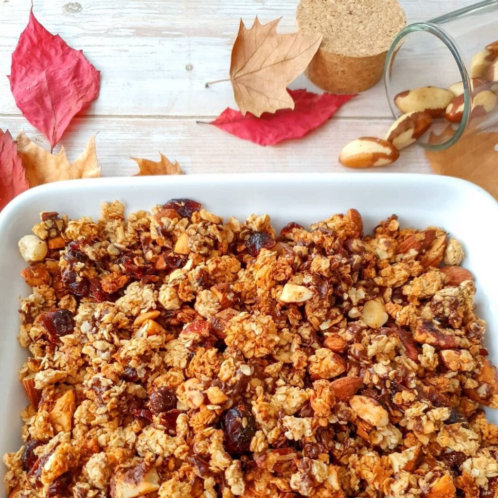 Granola aux cranberries et aux pépites de chocolat