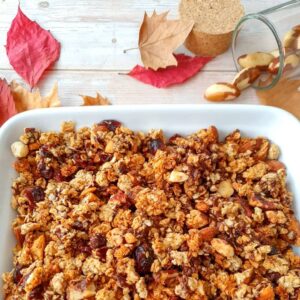 Granola aux cranberries et aux pépites de chocolat