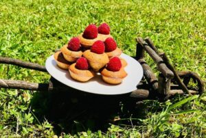 Financiers pistaches/noisettes/framboises