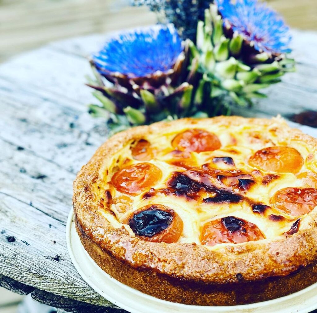 Flan aux abricots