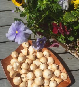 Meringues