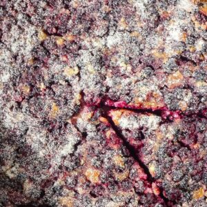 Clafoutis aux mûres