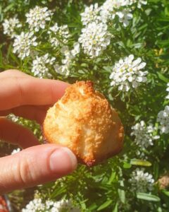 Rochers à la noix de coco