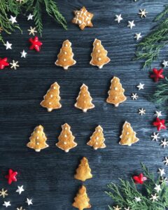 Biscuit façon Vegan Gingerbead