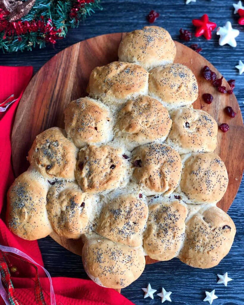 Sapain de Noël aux cranberries