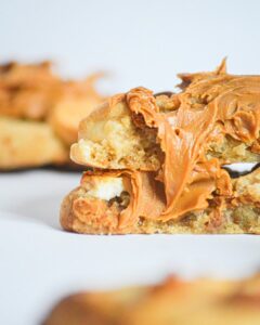 Vegan speculoos cookies