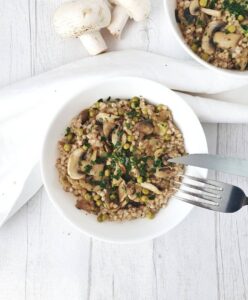 Sarroto à la forestière