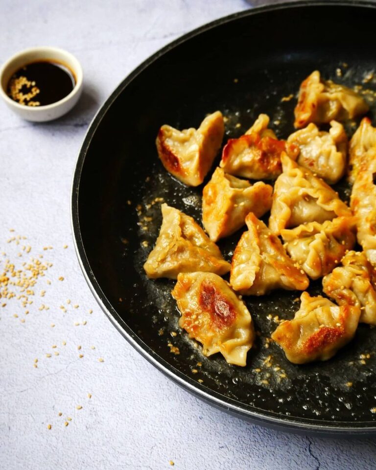 Gyozas au tempeh et aux poireaux