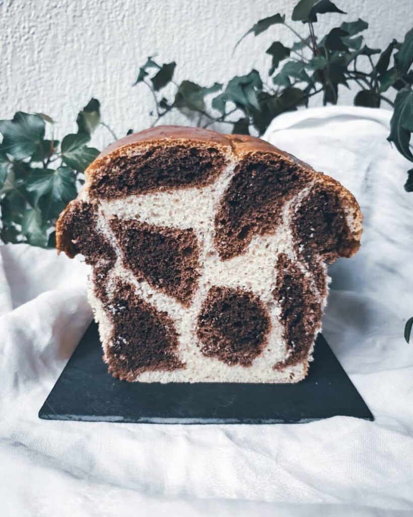 Ma petite brioche léopard