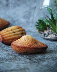 Madeleines aux pépites de chocolat