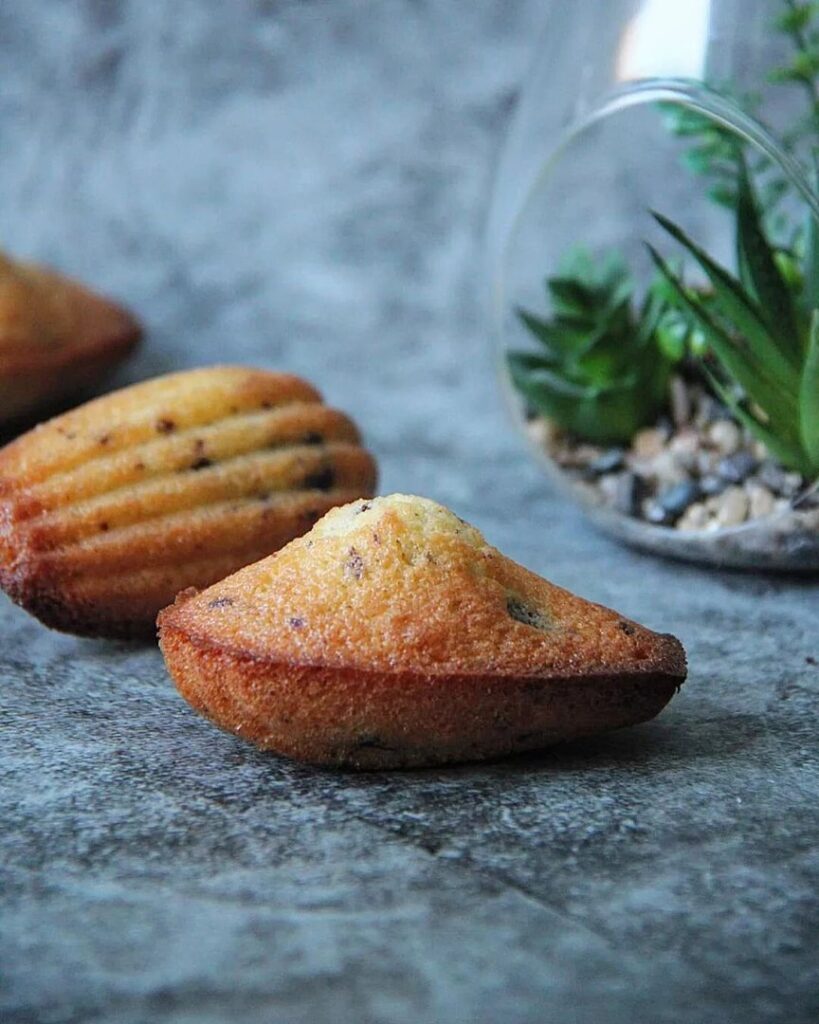 Madeleines aux pépites de chocolat