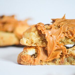 Vegan Cookie Butter Cookies