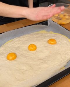 Torta de legumes