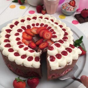 The Chocolate Mousse Cake