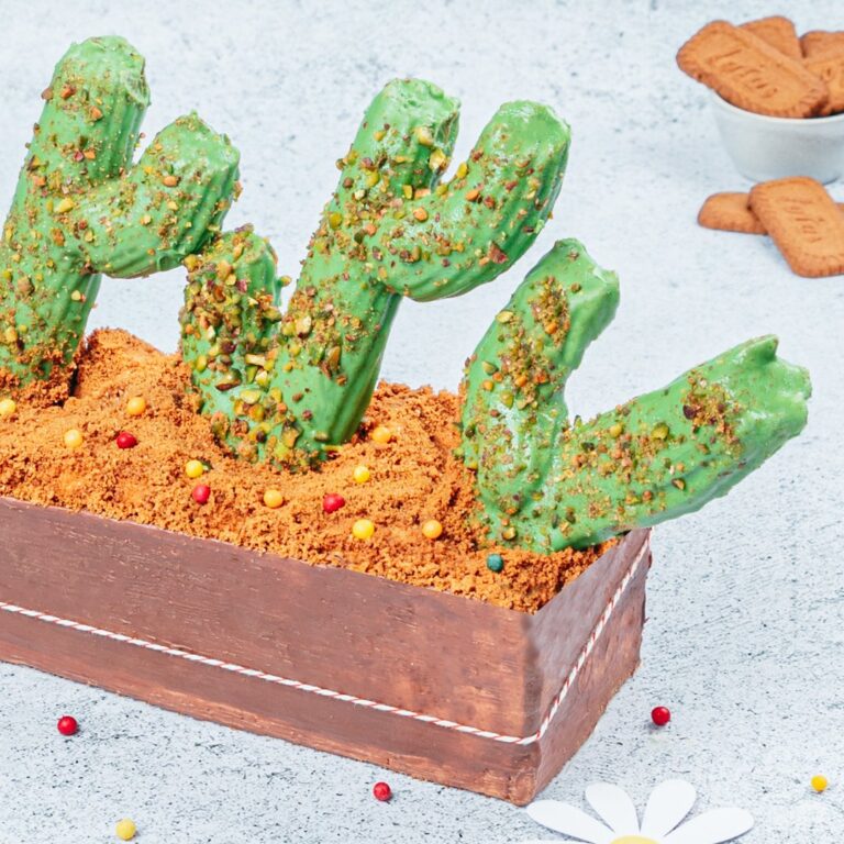 Cactos-churros do deserto