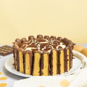 Torta-tiramisu leopardo