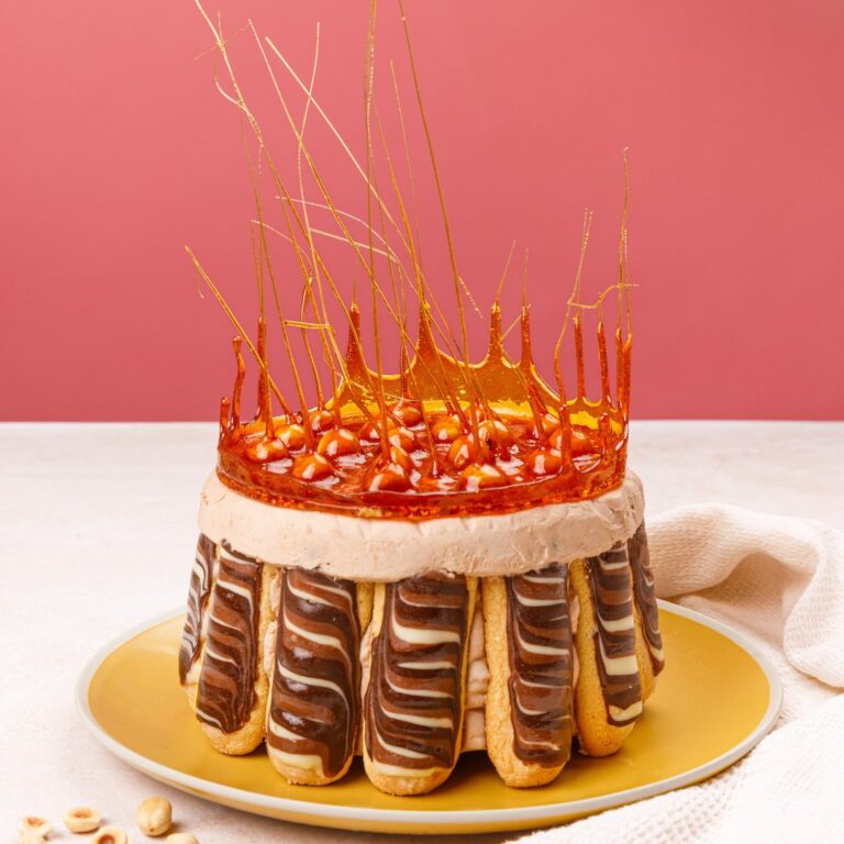 Charlotte royale chocolat praline Charlotte royale chocolat praline