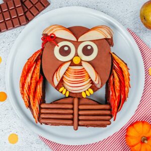 Le gâteau hibou au chocolat