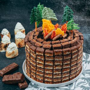 S’mores Shots & Campfire Cake