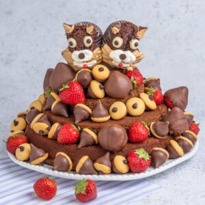 Chip ‘n’ Dale Cake