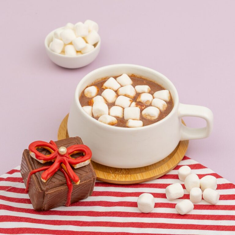 Gift Hot Chocolate Bomb