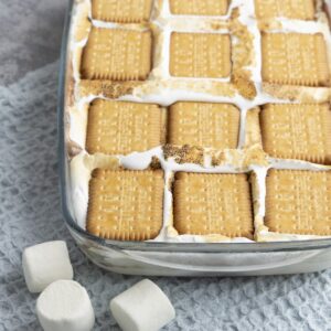 Frozen S’mores