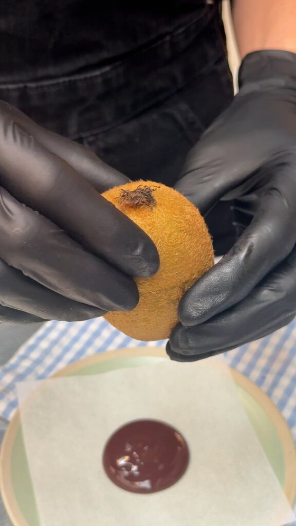 Sapo de Kiwi Mais Fofo