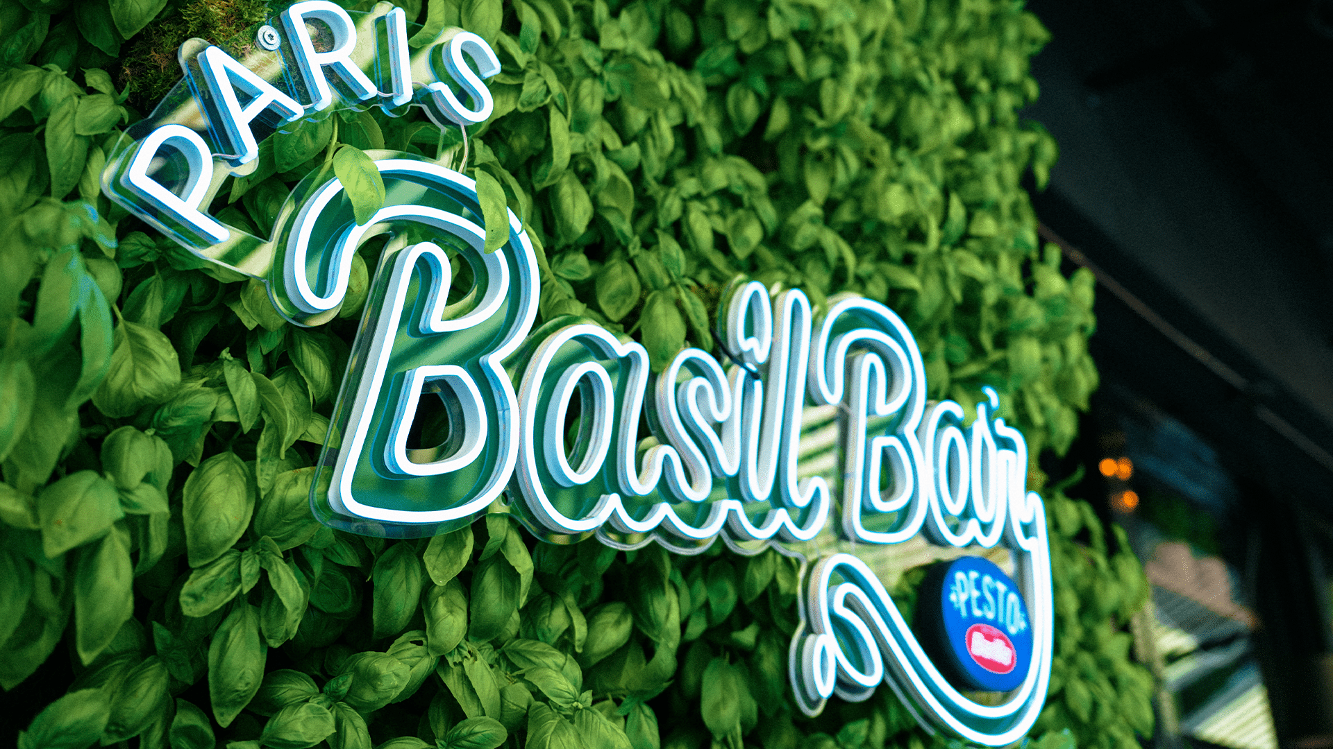 Le basilic c’est chic !