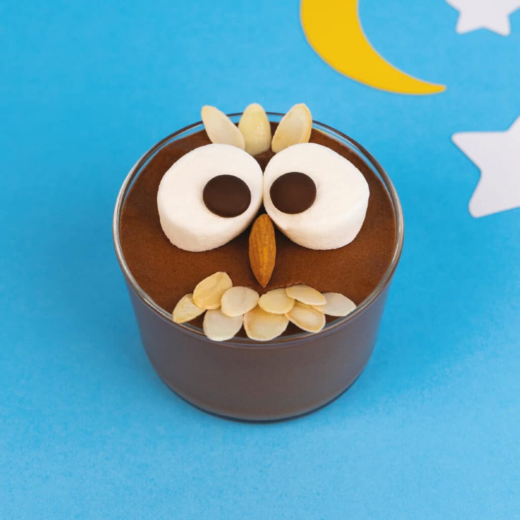Chouette mousse au chocolat