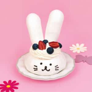 Pavlova Lapinou Pavlova Lapinou